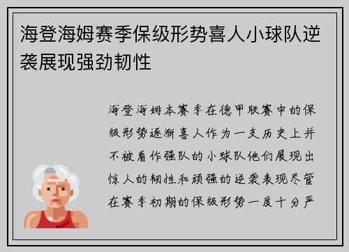 海登海姆赛季保级形势喜人小球队逆袭展现强劲韧性