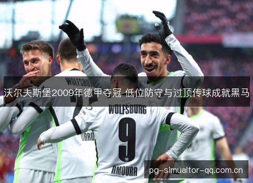 沃尔夫斯堡2009年德甲夺冠 低位防守与过顶传球成就黑马