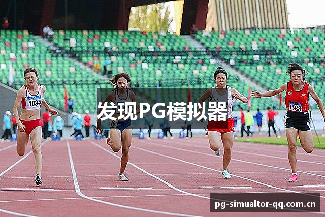 发现PG模拟器